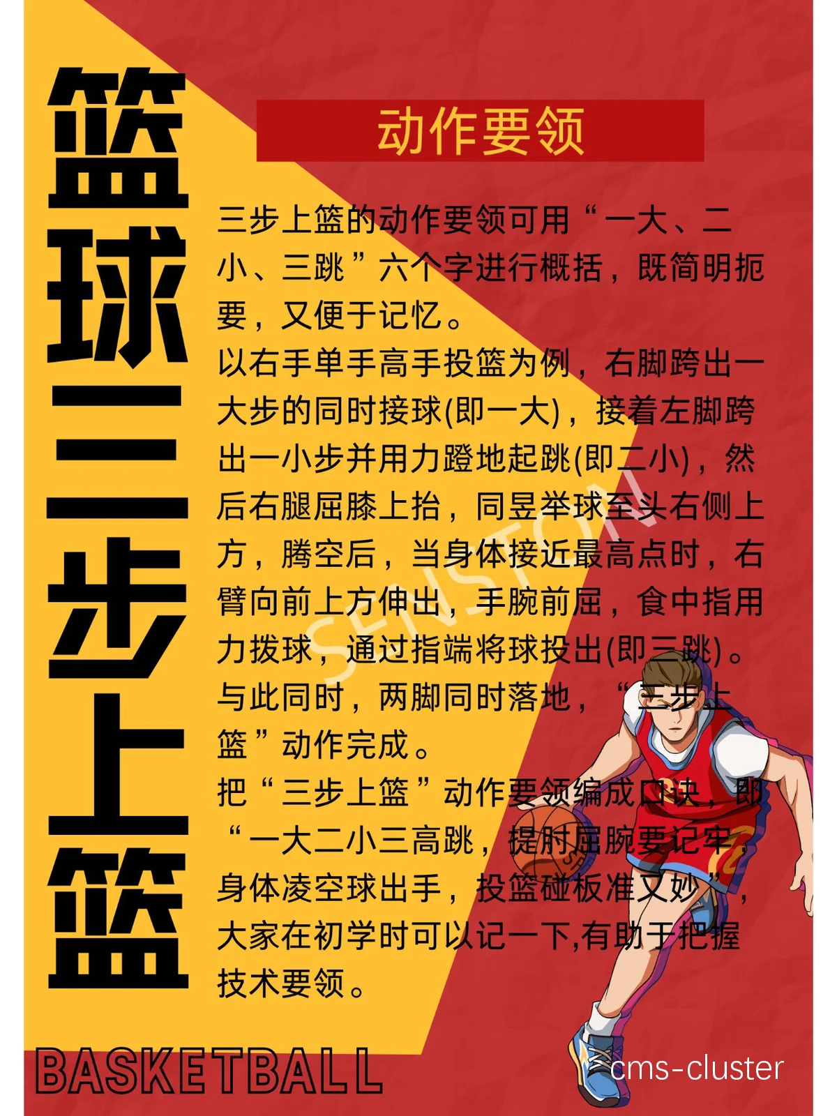 职业篮球新人如何应对高强度训练